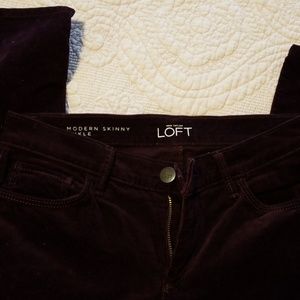 Loft pants